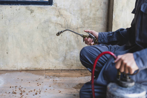 Best Best Pest Control Companies  in , NC